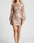 Sienna Sequin Mini Dress