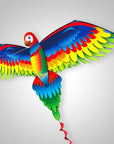 3D Parrot™
