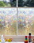 3D Rainbow Window Film