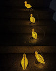 5 in 1 Solar Duck Light