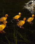 5 in 1 Solar Duck Light
