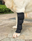ActivePaw | Kniebrace voor Veilige en Pijnvrije Beweging
