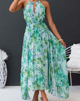 Aloysia - Floral Print Maxi Dress