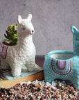Alpaca Succulent Pots
