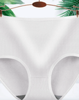 Antibacterial Absorbent Underwear