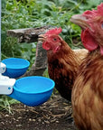 AquaHen | Always Fresh for Your Chickens