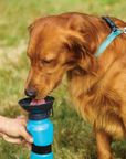 AquaPup | Water Bottle for Pets