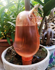 Automatic Flower Waterer Birdhouse Type