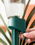 Automatic Plant Waterer | Handy and Easy to Use