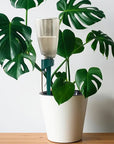 Automatic Plant Waterer | Handy and Easy to Use