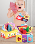 Baby Development Toys - Fun Sensory Toys