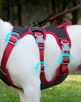 BarkVest | Anti-Trek Dog Harness with Reflective Features