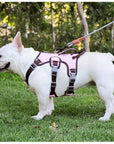 BarkVest | Anti-Trek Dog Harness with Reflective Features