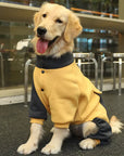 Barksy | Winter Jumper for Dogs Against Cold and Snow