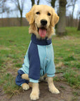 Barksy | Winter Jumper for Dogs Against Cold and Snow