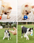 BiteBlitz | Chew Toy for Dogs