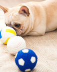BiteBlitz | Chew Toy for Dogs