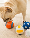BiteBlitz | Chew Toy for Dogs