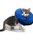 BlissNeck | Anti-Bite Inflatable Collar