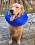 BlissNeck | Anti-Bite Inflatable Collar