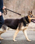 BoldGrip | Strong Luxury Leather Dog Lead