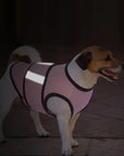 CalmPet | Calming vest for anxiety and stress