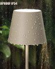 Caroline Rechargeable USB LED Desk Lamp
