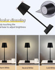 Caroline Rechargeable USB LED Desk Lamp