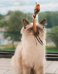 CatCatch | Keep Your Cat Active and Your Furniture Safe
