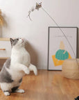 CatCatch | Keep Your Cat Active and Your Furniture Safe