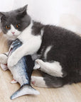 CatFish | Moving Toy Fish