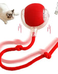 CatSprint – Electric Rolling Ball Toy for Cats