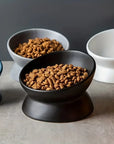 Ceramic Feeding Bowl for Dogs and Cats