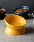 Ceramic Feeding Bowl for Dogs and Cats