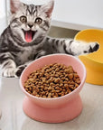 Ceramic Feeding Bowl for Dogs and Cats