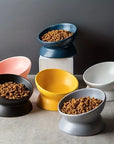 Ceramic Feeding Bowl for Dogs and Cats