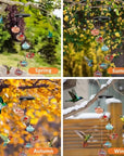 Charming Wind Chimes Hummingbird Feeder