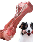 ChewBone | Meat-shaped Dog Toothbrush
