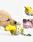 ChewDino | Dino-Egg Dog Chew Toy