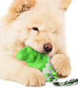 ChewDino | Dino-Egg Dog Chew Toy