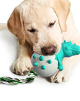 ChewDino | Dino-Egg Dog Chew Toy