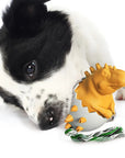 ChewDino | Dino-Egg Dog Chew Toy