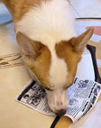ChewPaper | Bite-Resistant Newspaper Entertainment