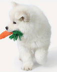 ChewyCorn | For Ultimate Chewing Pleasure