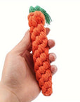ChewyCorn | For Ultimate Chewing Pleasure