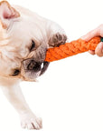 ChewyCorn | For Ultimate Chewing Pleasure