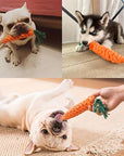 ChewyCorn | For Ultimate Chewing Pleasure
