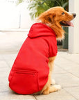 ChillWoof | Say goodbye to shivers with this warm hoodie