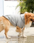 ChillWoof | Say goodbye to shivers with this warm hoodie