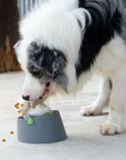 Chompy | 3-in-1 Feeding Puzzle for Dogs